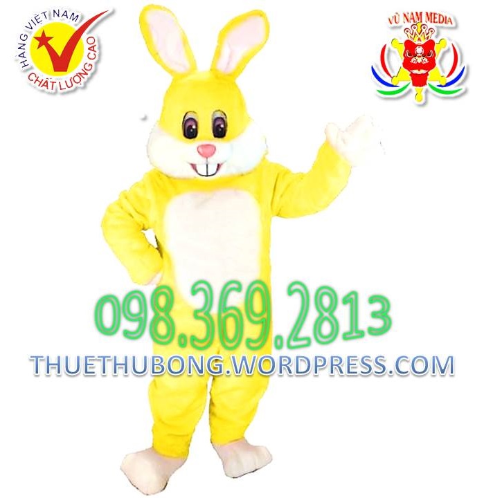 dich-vu-san-xuat-cho-thue-mascot-mau-vang-yellow-mascot-costumes-gia-chi-tu-200k-0983692813 (12)